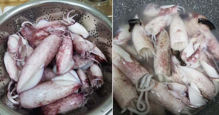 Lepas Masak Sotong Jadi Kecut, Guna Petua Mudah Ini Untuk Elak Saiznya Mengecil. Sotong Pun Tak Hanyir