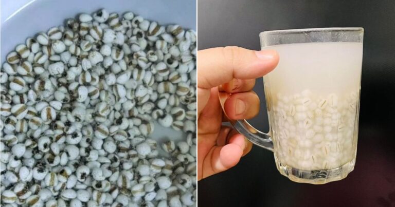 Kalau Amalkan Ambil Barli, Pastikan Rebus Cara Yang Betul. Nak Minum Pun Elak Minum Sedap