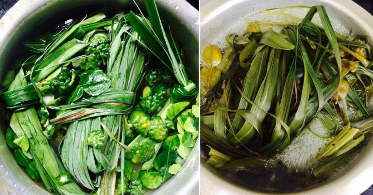 Buat Air Mandian Daun Ini Bila Badan Rasa Letih, Tak Bermaya. Lepas Siram Terus Rasa Segar