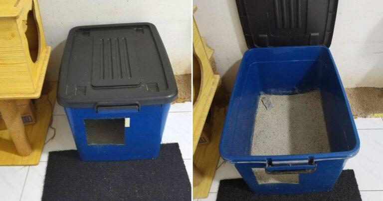 Buat Sendiri Litter Box Kucing Cara Bajet, Guna Storage Box. Lebih Bersih, Tertutup & Tiada Bau