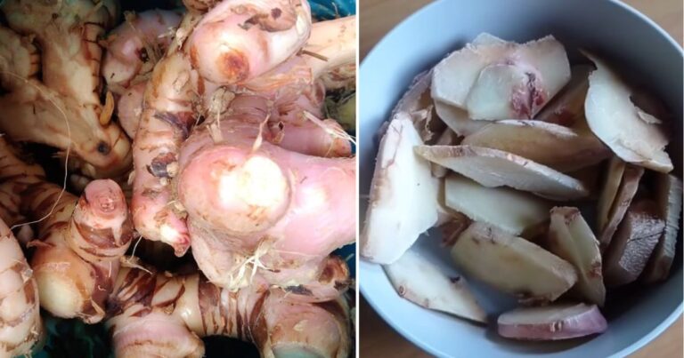 Beli Seketul Besar Guna Beberapa Hiris Saja, Ini Cara Simpan Baki Lengkuas Agar Tahan Berbulan Lamanya