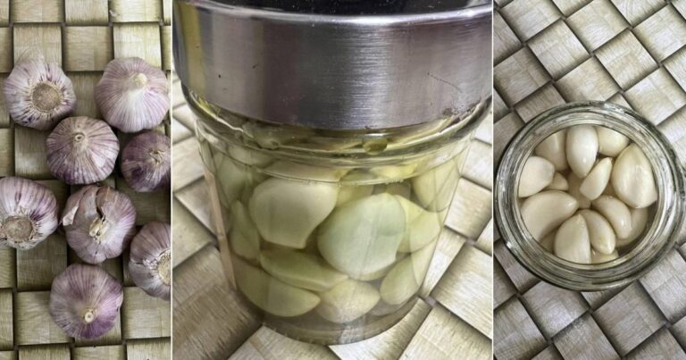 Cara Buat Jeruk Bawang Putih, 5 Hari Simpan Dah Boleh Makan. Lebih Sedap & Elok Untuk Kesihatan