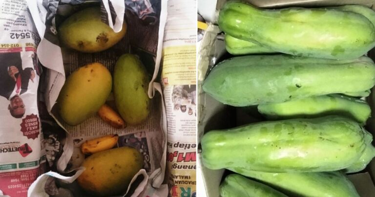 Jika Beli Buah Belum Masak Guna 3 Cara Ini Untuk Peram Supaya Buah Masak Elok