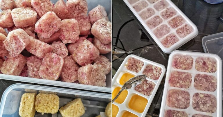 Tip Stok Bawang Kisar Kekal Segar Dalam Tempoh Lama, Boleh Buat Banyak Tak Perlu Risau Naik Kulat