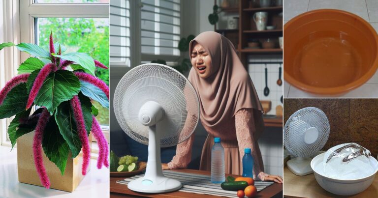 9 Cara Sejukkan Ruang Bagi Rumah Yang Tiada Air Cond