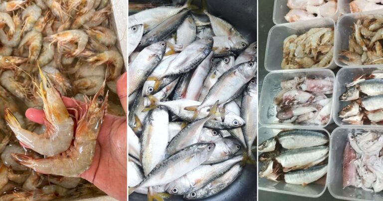 Petua Makanan Laut Simpan Dalam Freezer Kekal Segar & Manis Walau Dah Lebih Sebulan