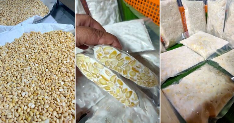 Cara Buat Tempe Homemade, Tak Susah Mana. Nak Buat Berniaga Di Rumah Pun Boleh