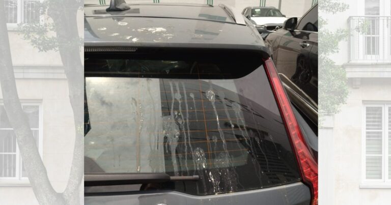 Tahi Burung Rosakkan Cat Kereta, Terus Buat Langkah Ini Jika Nampak Bertepek Pada Kereta