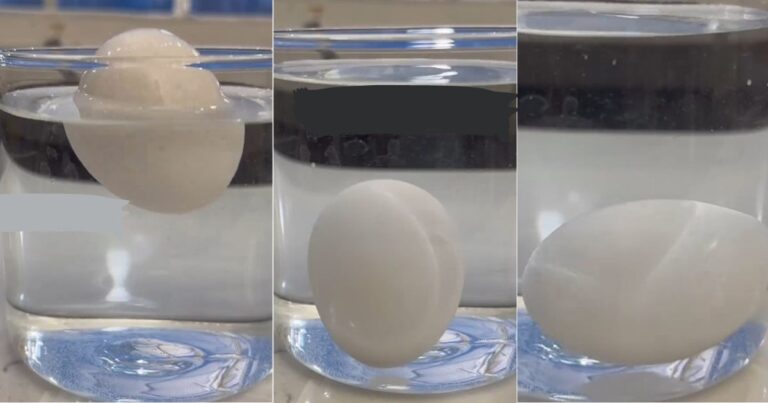 Cara Tentukan Telur Segar Atau Busuk, Rendam Dalam Air!