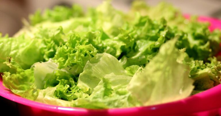 Tip Simpan Daun Salad Agar Tahan Lama. 3 Minggu Pun Daun Masih Elok & Segar