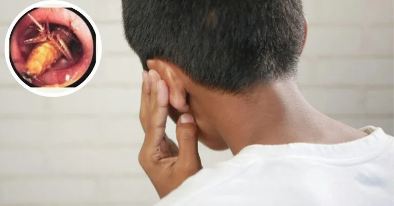 Titis Minyak Ini Kalau Serangga Masuk Telinga, Doktor Kongsi 5 Perkara Kena Buat Segera