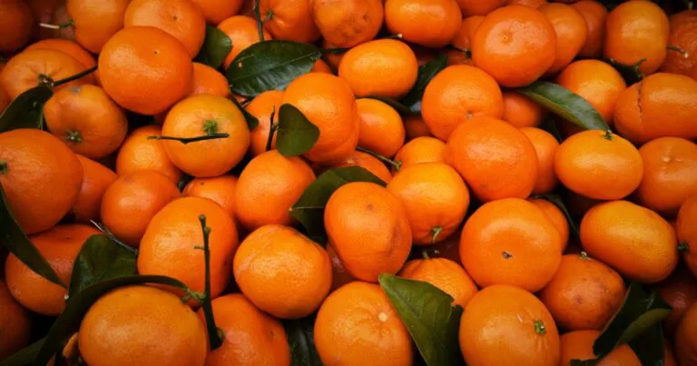 Sebelum Makan Limau Mandarin, Basuh Dulu Untuk Elak Bahaya Kesan Sulphur Dioxide