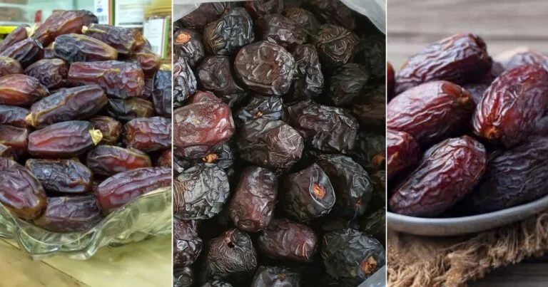 Jenis Kurma Popular Di Malaysia & Tip Pilih Yang Berkualiti