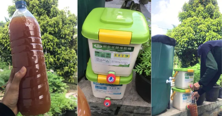 Olah Sisa Dapur Jadi Bokashi Tea, ‘Emas Cair’ Yang Power Untuk Tanaman