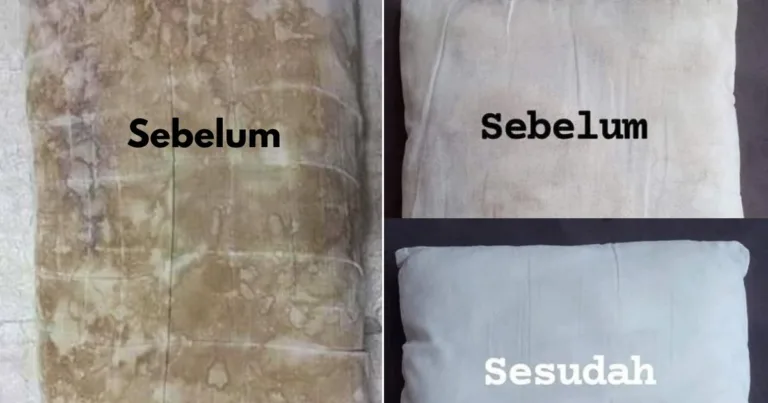 Tip Hilangkan Kesan Kulat Pada Bantal Tanpa Guna Peluntur