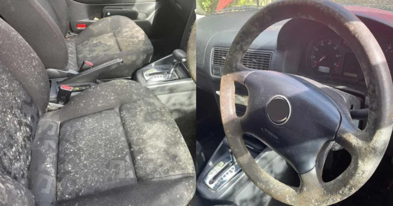 Kereta Naik Kulat, Jangan Ambil Mudah. Boleh Sebabkan Masalah Pernafasan, Guna Cara Ini Untuk Atasinya