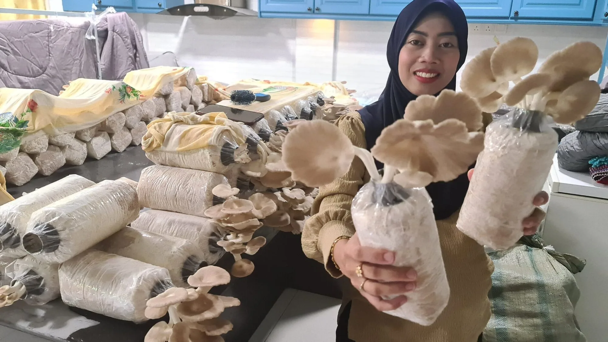 Suka Suka Tanam Cendawan Di Dapur, Tak Sangka Boleh Jana Sampai RM3 Ribu Sebulan
