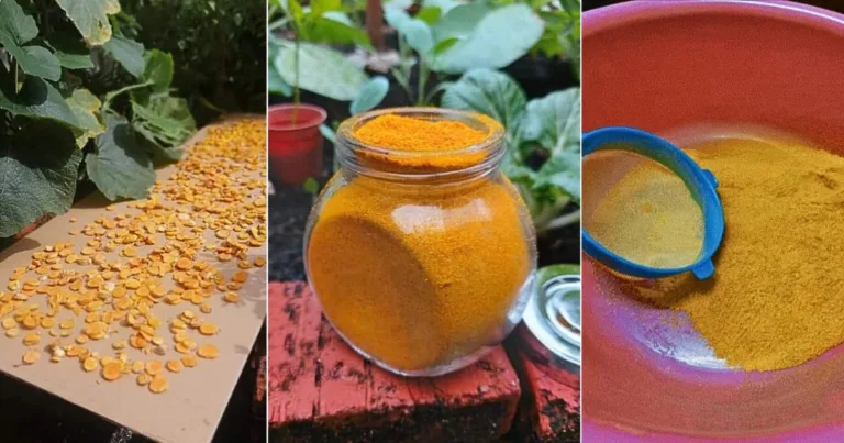 Buat Sendiri Serbuk Kunyit Homemade, Lebih Asli Tanpa Pengawet, Bau Pun Lebih Wangi. Ini Caranya