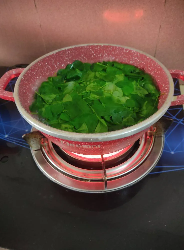 Cara Buat Teh Moringa Dari Daun Segar, Tak Perlu Proses Rebus Saja. Lagi Tinggi Khasiat