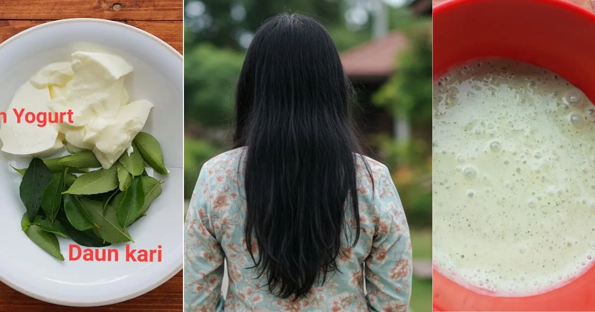 Elak Masalah Uban Makin Banyak, Boleh Ikut Petua Rawat Rambut Guna Daun Kari & Yogurt