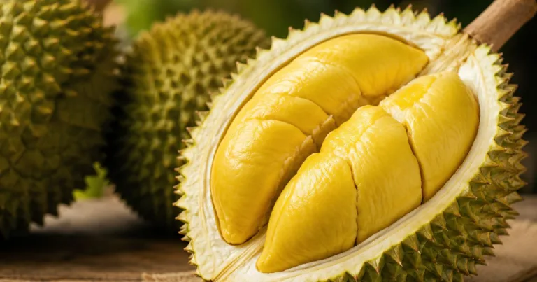 Musang King Tersenarai Buah Tropika ‘Terburuk’ Dunia, Peminat Durian Terkejut