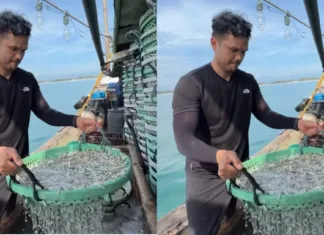 Khairul Aming Umum Sambal Nyet Bilis, Turun Sendiri Ke Laut Setiu Cari Bahan Terbaik