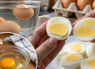 Telur Tiruan? Jangan Panik, Ini Fakta Penting Jika Telur Terapung & Kuning Leper