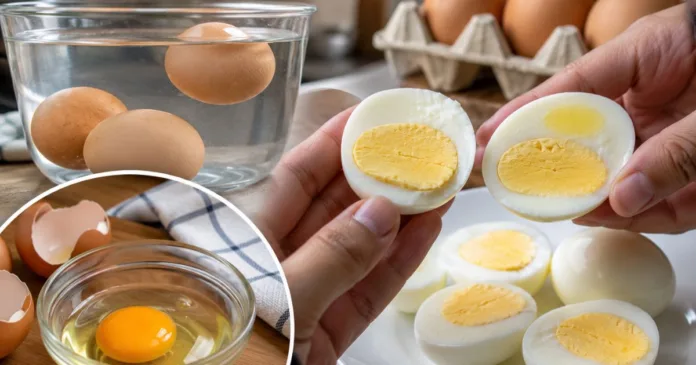 telur tiruan