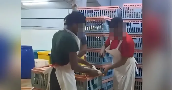 Ayam Jakim