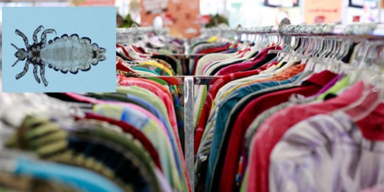Nampak Bersih Tapi Sebenarnya Tak, Kutu Ini Antara Sebab Kita Kena Basuh Baju Baru Sebelum Pakai