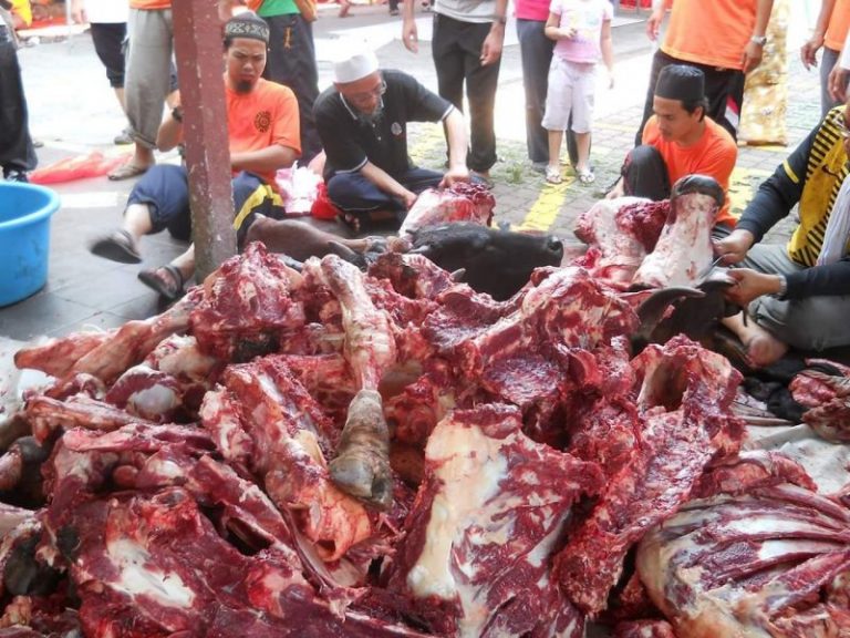 Cara Betul Simpan Daging Korban, Jangan Terus Masuk Freezer! Lepas 4 Jam Baru Simpan