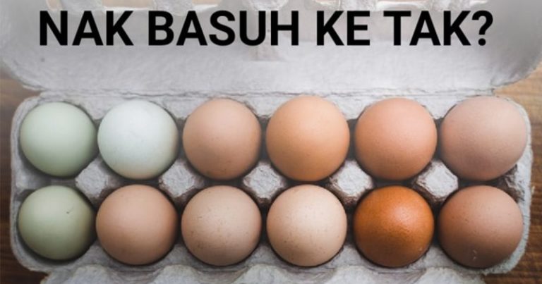 Sebelum Simpan Telur Tak Perlu Basuh Pun! Ini Penjelasan Doktor