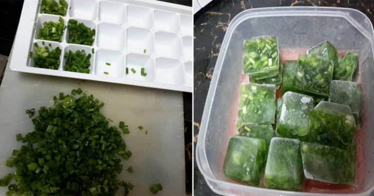 Cara Betul Simpan Daun Bawang, Sup & Kucai Supaya Tahan Lama