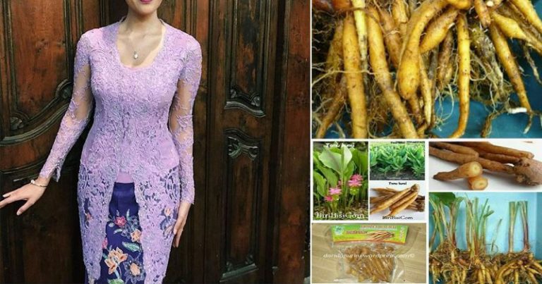 Resipi Air Jamu Cekur, Rahsia Ibu Anak 10 Kekal Langsing