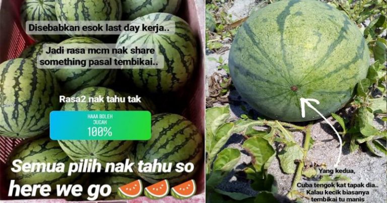 4 Cara Nak Pilih Buah Tembikai Yang Manis, Lepas Ni Confirm Takkan Frust Lagi