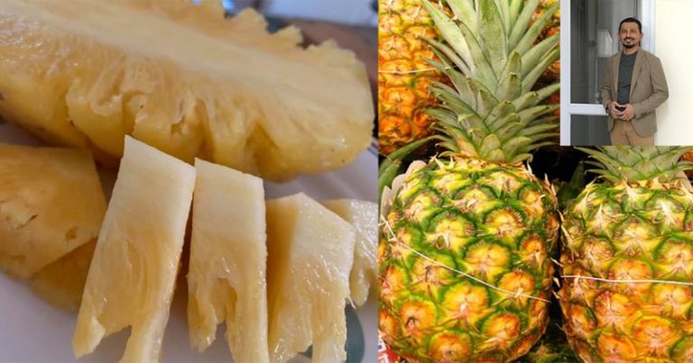 Nenas Adalah Superfood, Makan Empulurnya Lagi Banyak Khasiat. Kalau Boleh Ambillah Setiap Hari