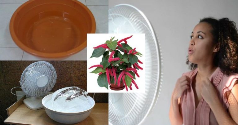 9 Cara Sejukkan Ruang Bagi Rumah Yang Tiada Air Cond