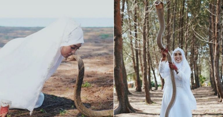 Abadi Gambar Dengan King Cobra. Pengantin Perempuan Akui Ini Cara Hebat Kongsi Minat Dengan Suami